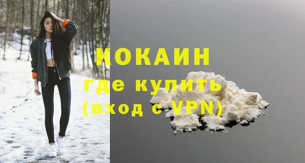 стаф Белокуриха