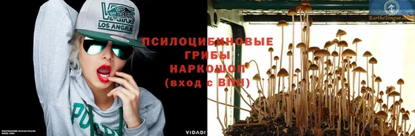 стаф Белокуриха